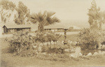 [Cottages at Mount Ecclesia, Rosicrucian Fellowship, Oceanside]