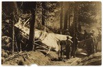 Fowler's wrecked biplane