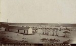 Beach scene, Long Beach, Cal. # 153.