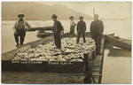 Scow load of salmon Requa Calif.