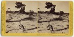 Tip top of the Sentinel Dome, Yosemite Valley, Mariposa County, Cal., 1142