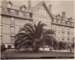 In the Court, Hotel del Monte, Monterey, Cal., April 20, 1895, 3358