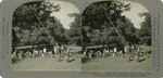 Walnuts 1. - Shaking walnuts from trees with poles, El Monte, Los Angeles County, Calif., 157