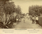 Entrada en un pueblo. Estado de Mexico = Entrance to a village, State of Mexico