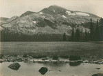 Mt. Gibbs from Dana Meadows - Tioga Road - Yosemite National Park - Cal