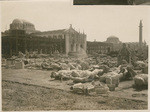 [Construction of the Panama Pacific International Exposition] (3 views)