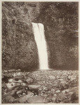 [Lower Multnomah Falls, Oregon], no. 424