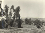 Mt. San Jacinto from Perris