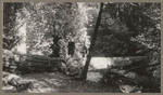 [Alfred Fuhrman with man and woman standing on fallen tree in Muir Woods]