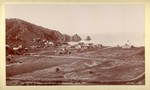 Avalon on Catalina Island. Jan. 1893. # 949.