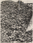 Strawberry Dam. June 3rd 1915. View of lower slope of drop fill. Temporary spillway shows to right. Note water coming through the drop fill at bottom of picture