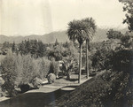 [San Gabriel Mountains from gardens] (7 views)