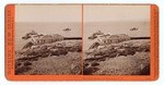 The Cliff House and Environs, S.F. # 3602.