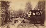 [Excursion train, Tehama County]