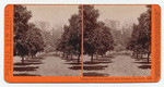 Orange and Walnut Orchard, Gen. Stoneman, San Gab'l. 4398.