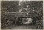 Rustic auto bridge - G.G. Park