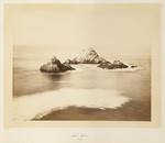 Seal Rocks, No. 293