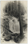 [Waterfall at Cold Brook Camp]