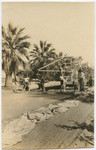 Paving Main Street, Ventura, 1919