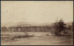 [View of meadow, grove of trees, hills], no.788