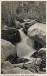 In North Fork Canyon, Cold Brook Camp