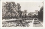 [Lily lagoon from Botanical Building, Balboa Park]