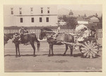 [Flower-decorated horse cart]