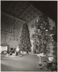 [Christmas trees in Barker's Bros. store]