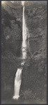 Multnomah Falls, Oregon