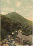 Gathering flowers in wintertime, Hollywood, Cal., no. 5415