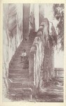 Stairs at the San Gabriel Mission, 1890. # 999