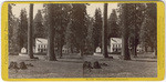 Hotel at Big Trees, Calaveras Co. No. 1145