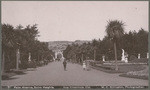 Palm Avenue, Sutro Heights, San Francisco, Cal., 7