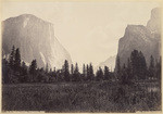 Up the Valley, Yosemite, Cal.