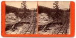 Truckee River below Truckee Station, looking West, toward Donner Lake. # 221.