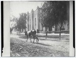 [Cow on street at Mission San Gabriel]