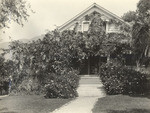 [Wisteria at Fennel residence]