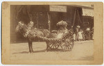 [Ladies in flower-decorated cart]