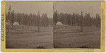 General view of the Mammoth Grove and Hotel, Calaveras County # 913