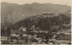 Bernheimer Hills Japanese Gardens, Hollywood