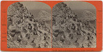 Birds on the Farrallone Islands, Pacific Ocean, Cal., No. 245