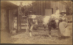 [Family portrait: man and lady with cow, boy and girl on fence]