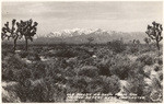 Old Baldy as seen from the Mojave Desert near Lancaster, Calif.