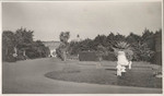 Avenue and gardens. Sutro Park