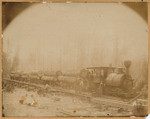 [Train loaded with logs, Lyonsville]