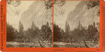 Glacier Point. Yosemite Valley, Mariposa Co., Cal., 3084