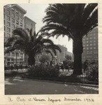 A peep at Union Square, December 1924.