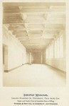 [Leland Stanford Jr. University, Palo Alto, Cal., Museum (3 views)]