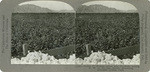 Cotton 2. - Picking cotton near Coachella looking N. W. to the San Jacinto Mountains, Riverside County, Calif., 150