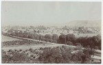 Santa Barbara, Looking south From Mission Tower. 236.